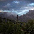 The Ultimate Guide to Finding the Perfect Photographer in Pinal County, Arizona