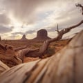The Expert's Guide to Choosing the Perfect Photographer in Pinal County, Arizona