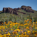 The Art of Boudoir Photography in Pinal County, Arizona