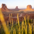 Capturing the Beauty of Pinal County, Arizona: A Guide to the Best Photographers for Outdoor Photo Shoots